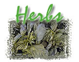 Herbs