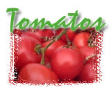 Tomatoes